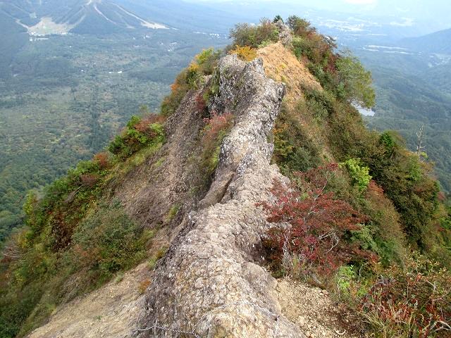 戸隠連山　八方睨から蟻の塔渡を下降　　　　Nishidake in Myōkō Togakushi renzan National Park_f0308721_21351870.jpg