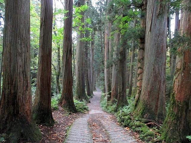 戸隠連山　八方睨から蟻の塔渡を下降　　　　Nishidake in Myōkō Togakushi renzan National Park_f0308721_21472477.jpg