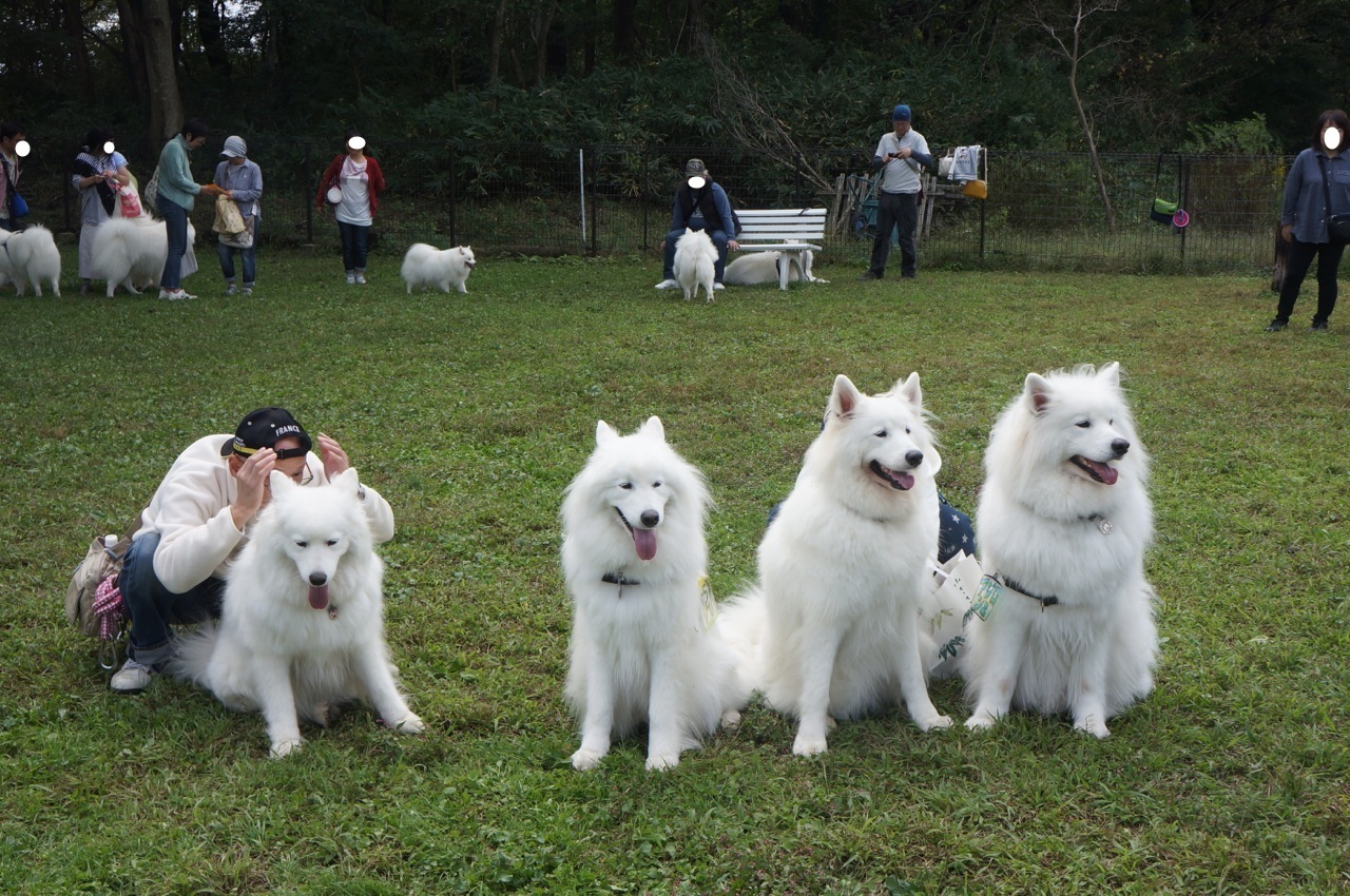 エニセイっ子3期生のお誕生会＆北海道からようこそ！の集い_ラリュール後編_f0234023_06454123.jpg