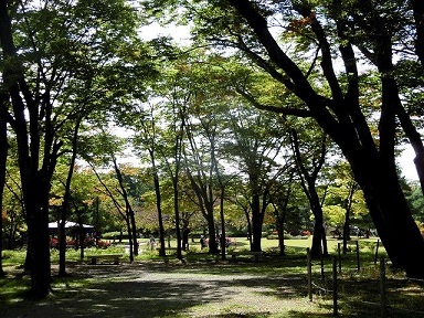 e0234924_12072455.jpg