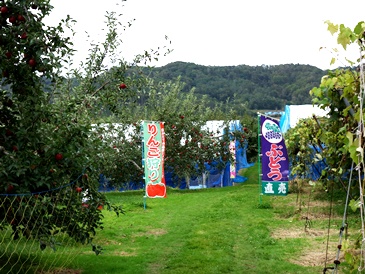 c0204725_10151183.jpg