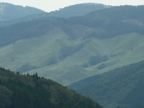 近郊の山シリーズ 兵庫『段ケ峰』_c0218841_10021694.jpg