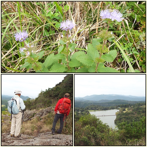 白岳へ、そしてお花散策_e0164643_23143741.jpg