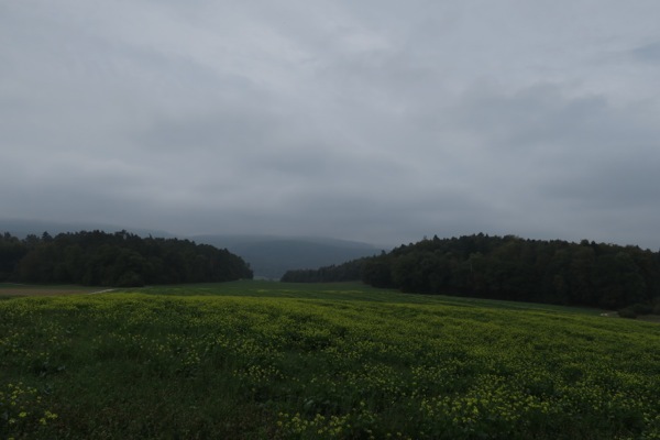 e0356046_05324650.jpg