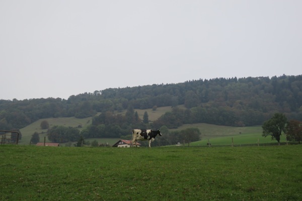 e0356046_05334010.jpg