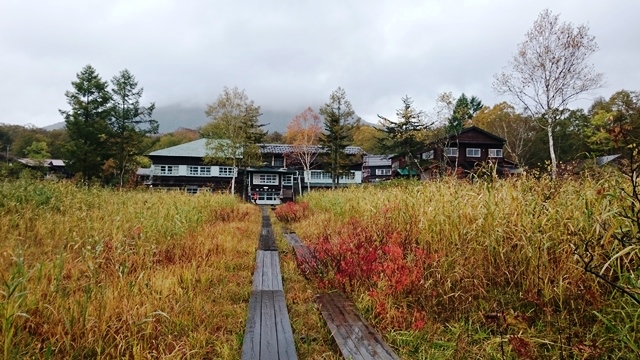 尾瀬：２日目（見晴～至仏山～鳩待峠～大清水～♪）_b0148050_15515597.jpg