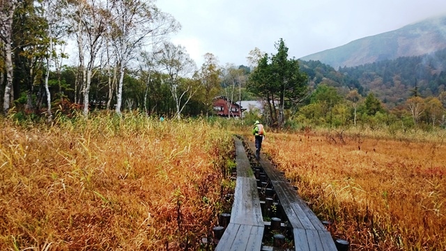 尾瀬：２日目（見晴～至仏山～鳩待峠～大清水～♪）_b0148050_1741042.jpg