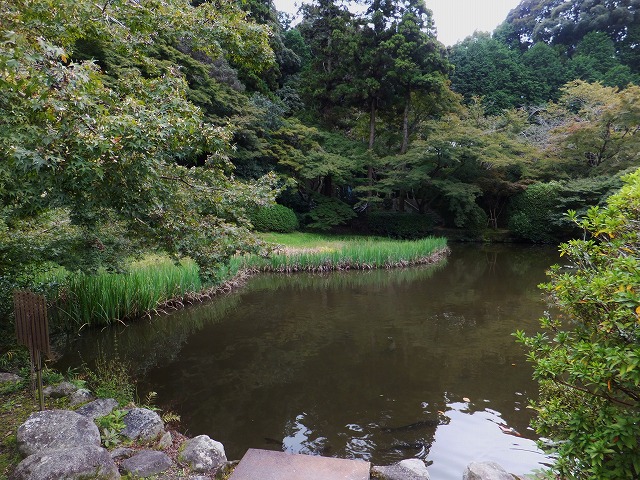 d0048350_140294.jpg