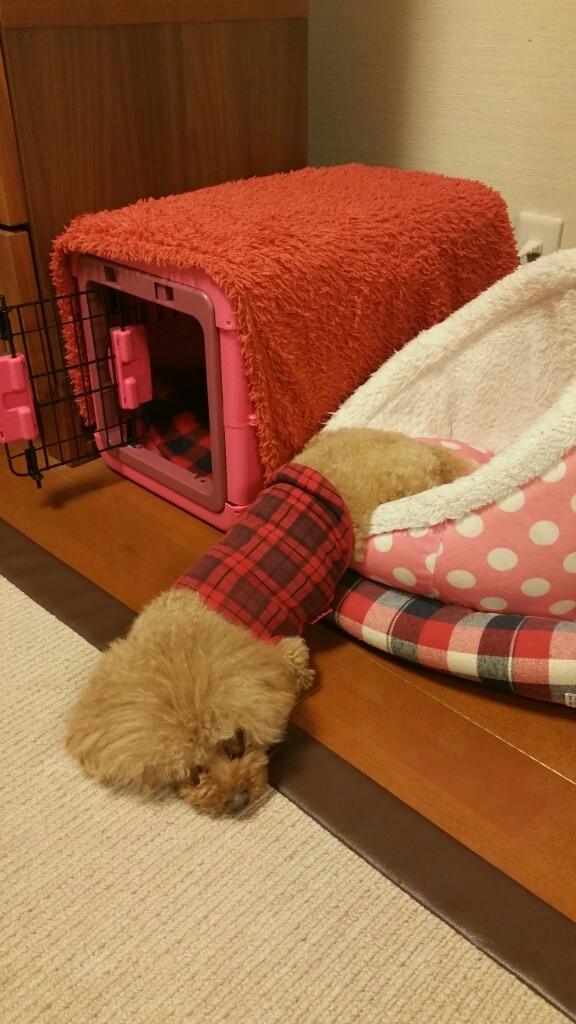 誕生日_b0328361_22161450.jpg