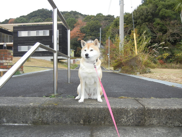 ’16,10,14(金)今日は秋晴れです!_f0060461_11361937.jpg