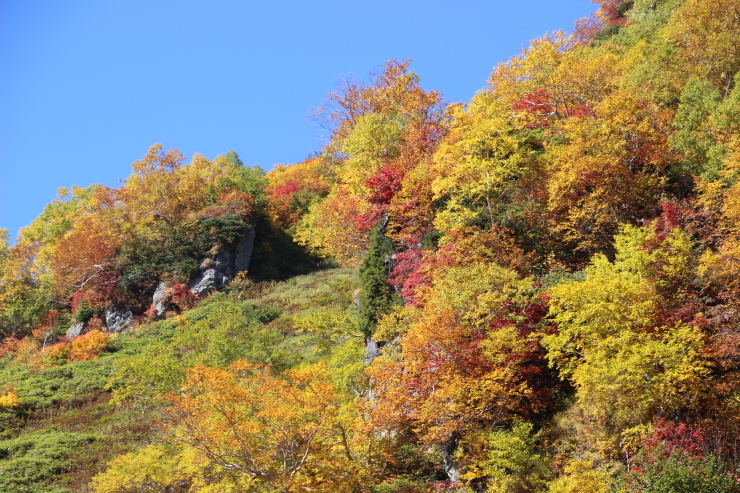 立山の秋模様(2) (撮影日:2012/10/9)_b0369971_16173943.jpg