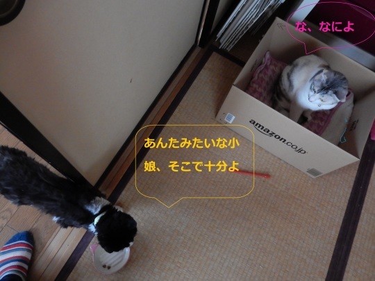 女王陥落_e0355177_18140239.jpg