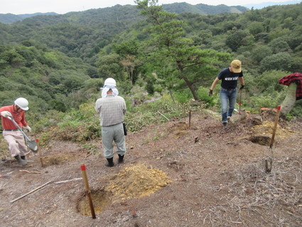 f0053885_1952810.jpg