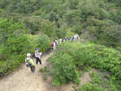 f0053885_205434.jpg