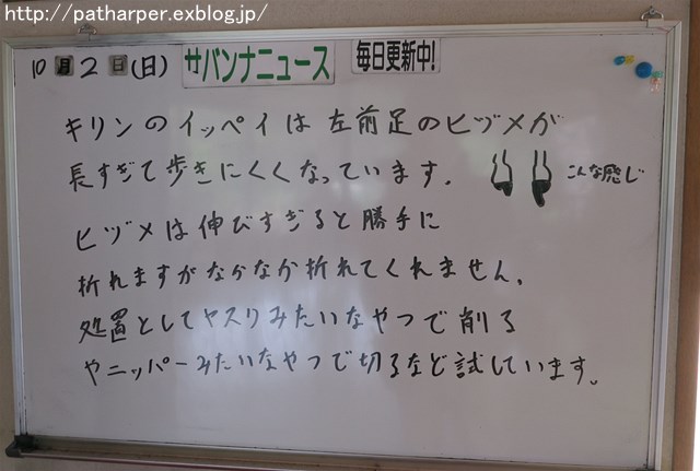 ２０１６年１０月　とくしま動物園　その２　ミナミちゃんと再会_a0052986_23303095.jpg