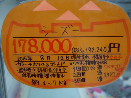 望遠レンズ買ったけど&HCのワンコたち_c0090198_17404085.jpg