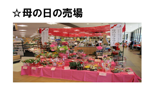 f0070004_14222913.png