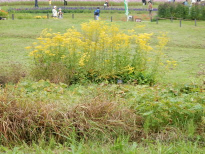 滝野すずらん丘陵公園から！  _d0200811_14594786.jpg