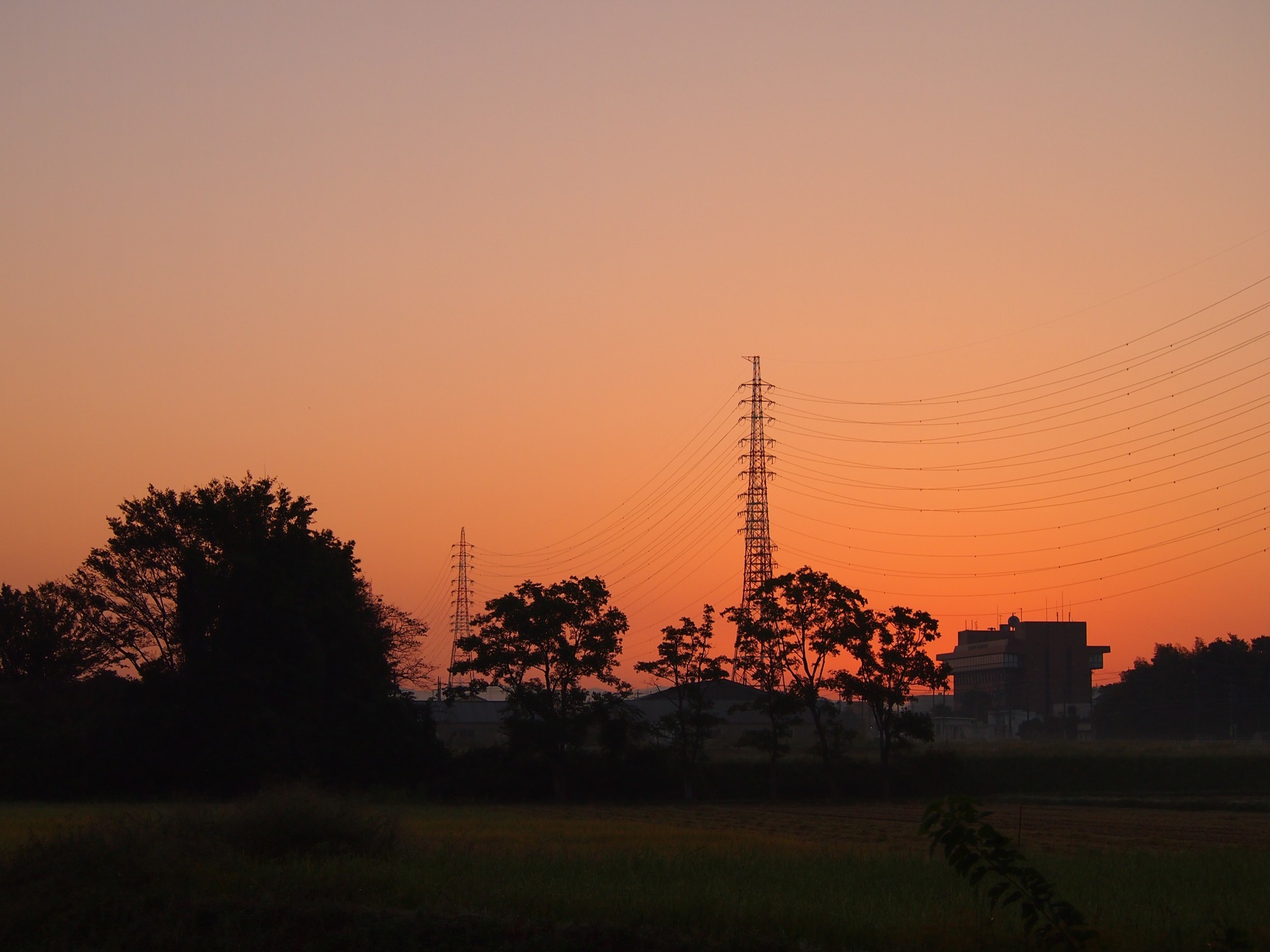 今朝は快晴、まさに秋晴れ　_d0048812_15075527.jpg