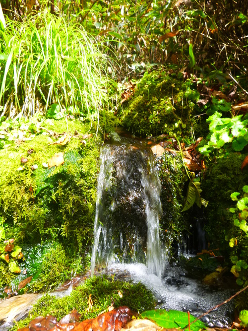 a0236914_17485187.jpg