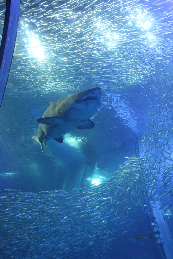 f0233916_21294465.jpg