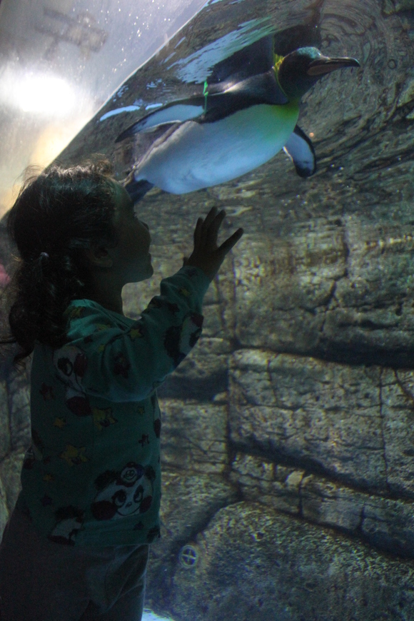 f0233916_21301979.jpg
