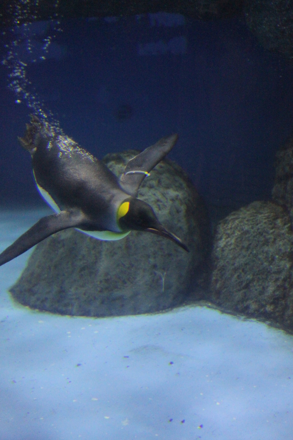 f0233916_2130489.jpg