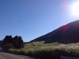 e0205917_19454524.jpg