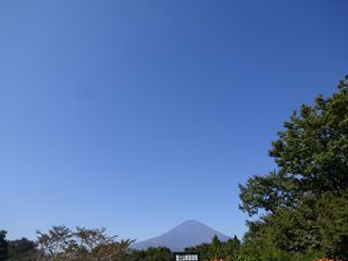 e0205917_19462541.jpg
