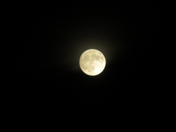 見上げてごらん。 今宵の月を。_d0212522_19052264.jpg