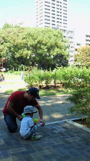 b0170623_15443191.jpg