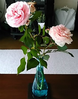 f0354923_23555004.jpg