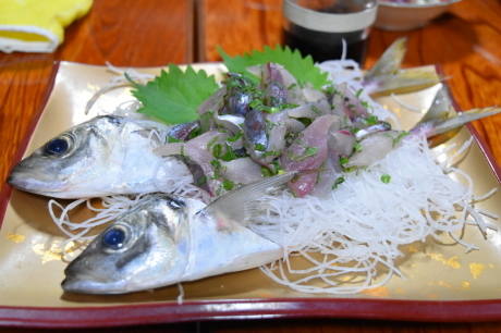 f0362524_19113726.jpg