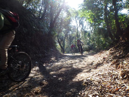 d0023725_21164005.jpg