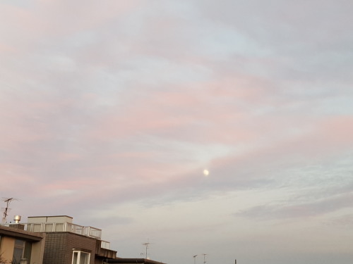 e0016828_10363412.jpg