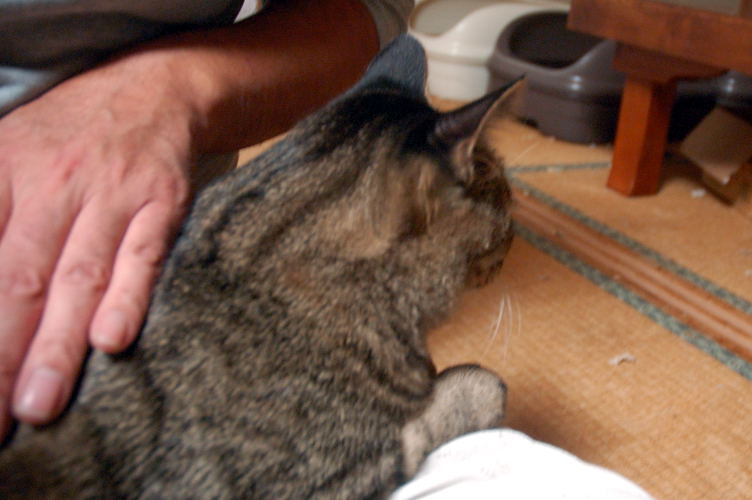 e0325030_2223459.jpg