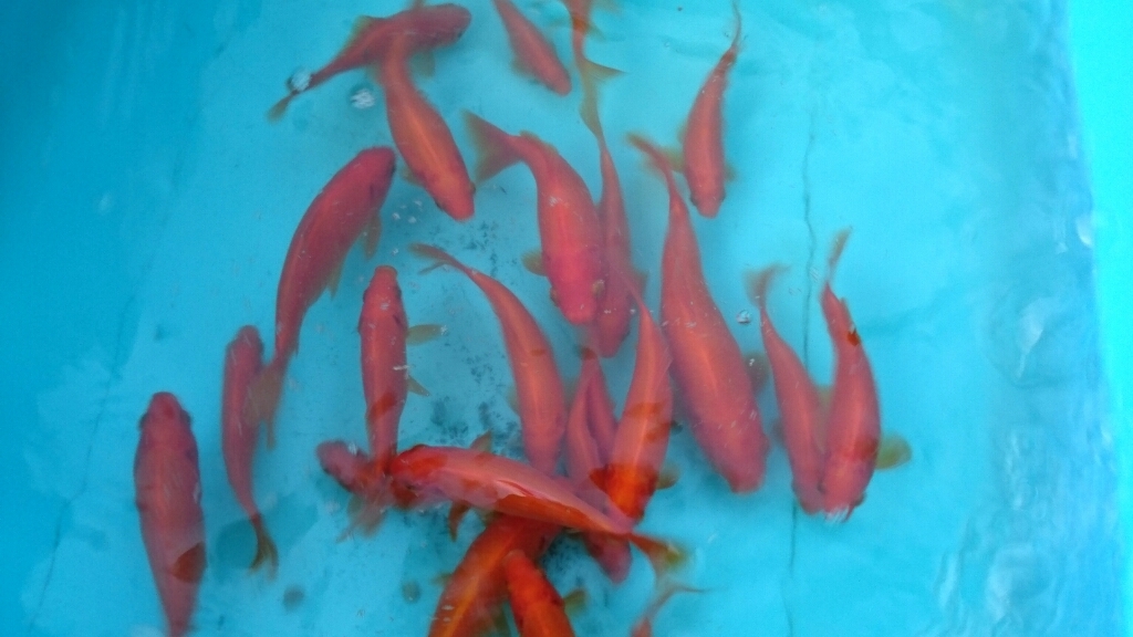 c0209334_22284145.jpg