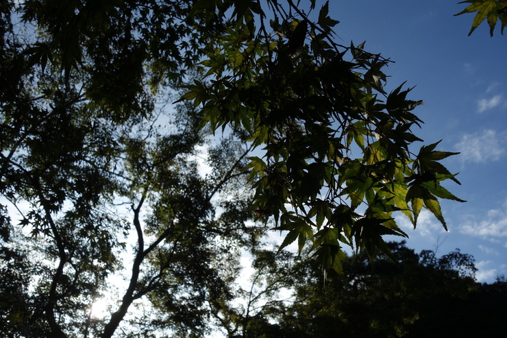 a0287336_20281550.jpg