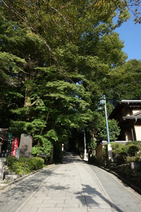 a0287336_20304887.jpg