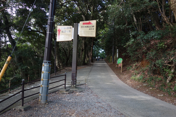 a0287336_20393891.jpg