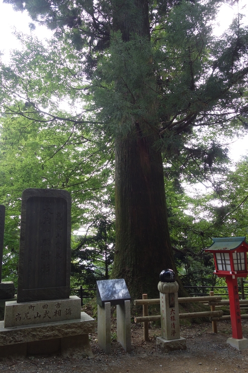 登山靴の慣らしを兼ねて、高尾山に行ってみた その2_a0287336_21332591.jpg