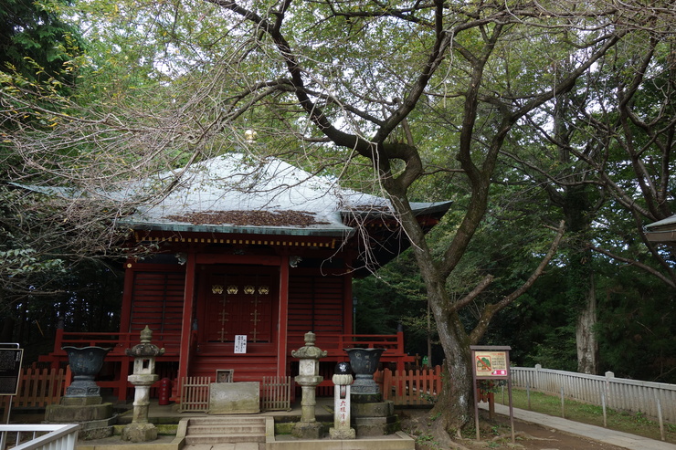 登山靴の慣らしを兼ねて、高尾山に行ってみた その2_a0287336_2148182.jpg