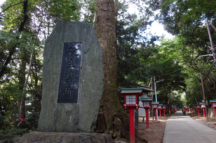 登山靴の慣らしを兼ねて、高尾山に行ってみた その2_a0287336_2193343.jpg