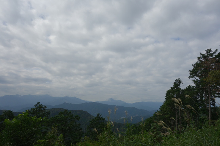 a0287336_2218084.jpg