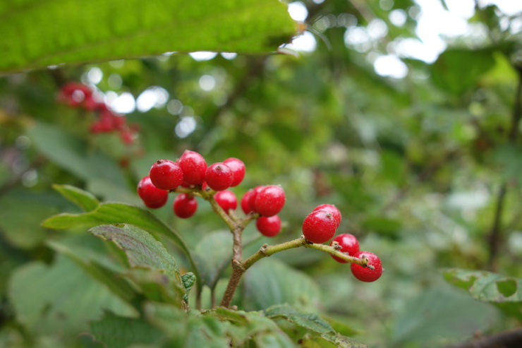 a0287336_2229232.jpg