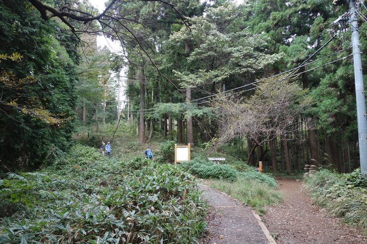 a0287336_22323175.jpg