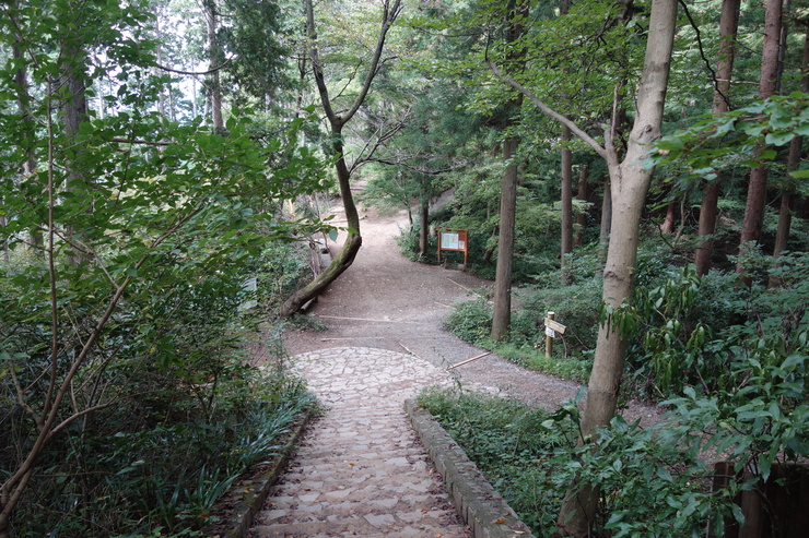 a0287336_2261458.jpg