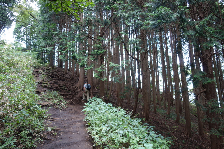 a0287336_232041.jpg