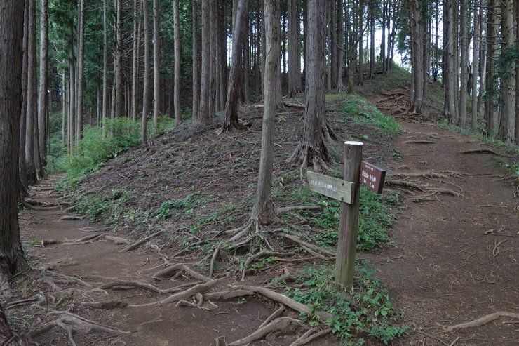 登山靴の慣らしを兼ねて、高尾山に行ってみたつもりが景信山を通り越して陣馬山を目指してる件 その5_a0287336_23491890.jpg