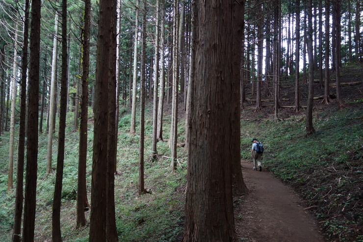 登山靴の慣らしを兼ねて、高尾山に行ってみたつもりが景信山を通り越して陣馬山を目指してる件 その5_a0287336_23511614.jpg